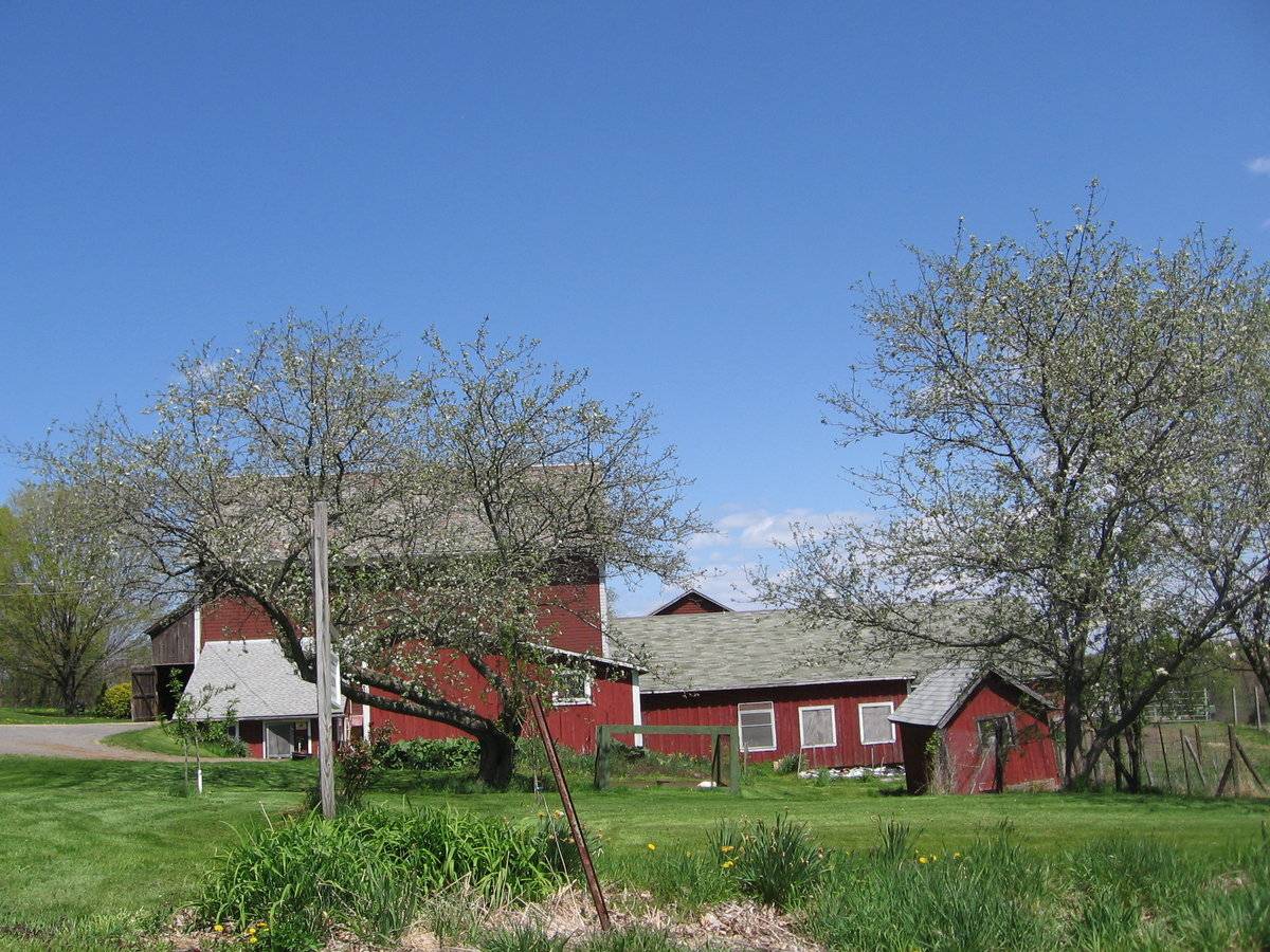 Coulter Homestead (788 Taintor Street, Suffield (Central Valley