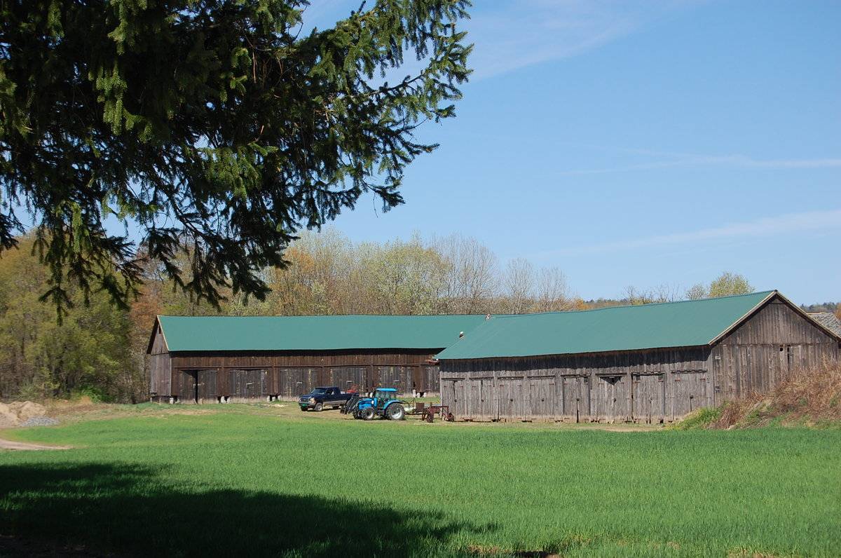 Beneski Farm (Part 2 of 2) (141 South Grand Street, Suffield (Central