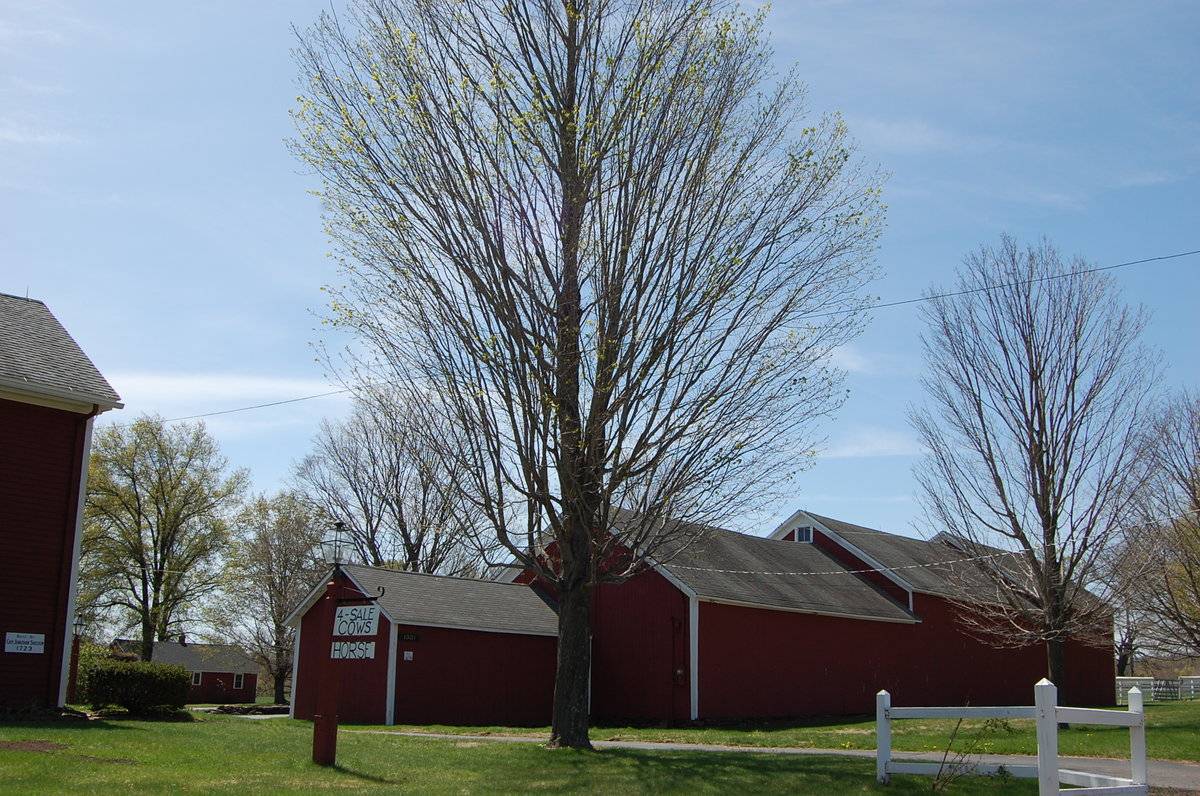 1321 Sheldon Street, Suffield (Central Valley) Historic Barns of