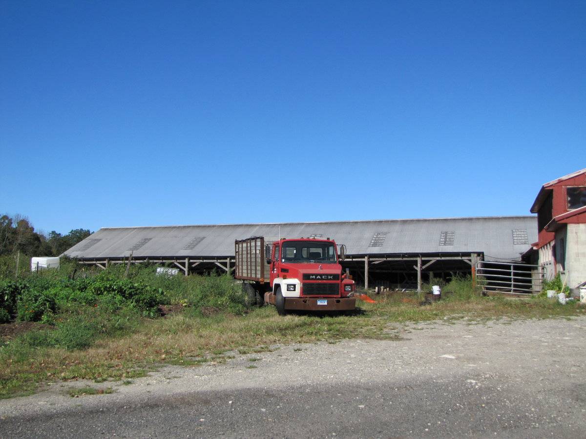 Twin Hill Farm (144 Palmer Road (Rte 14), Scotland (Eastern Uplands