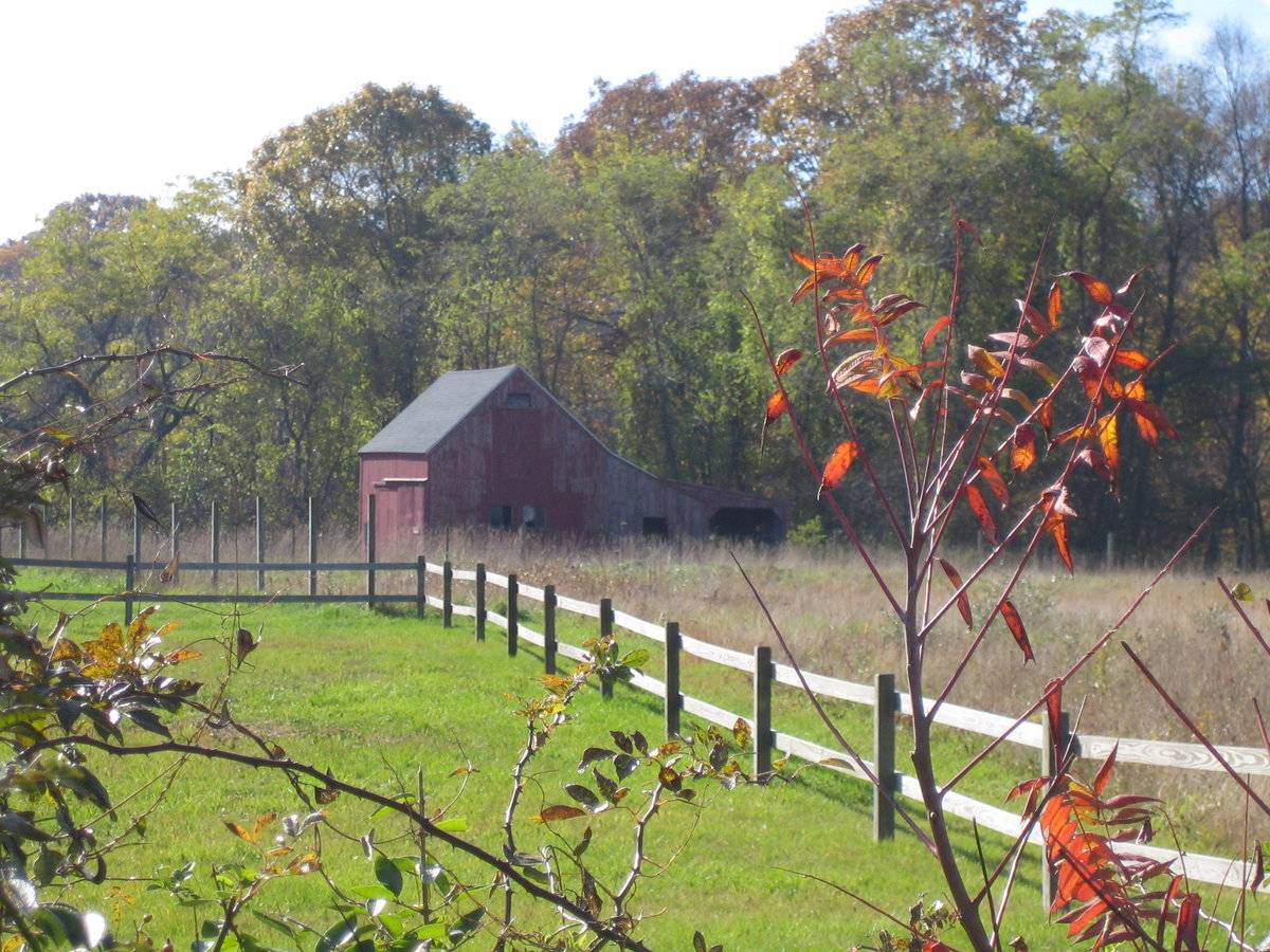 193 Cove Road, Stonington (Eastern Coastal Slope) Historic Barns of