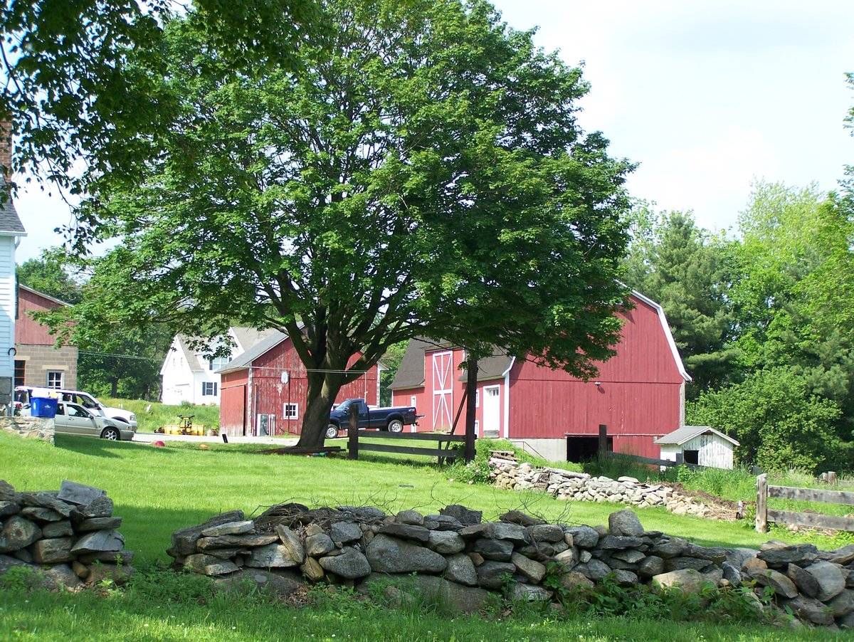 Chatfield Dairy (90 Skokorat Road, Seymour (Western Uplands