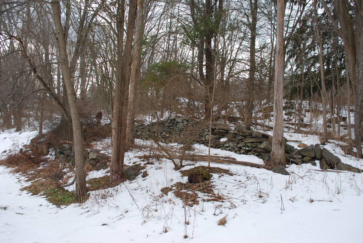 Matty Josephson House (Part 2 of 2) (34 Church Road, Sherman (Northwest