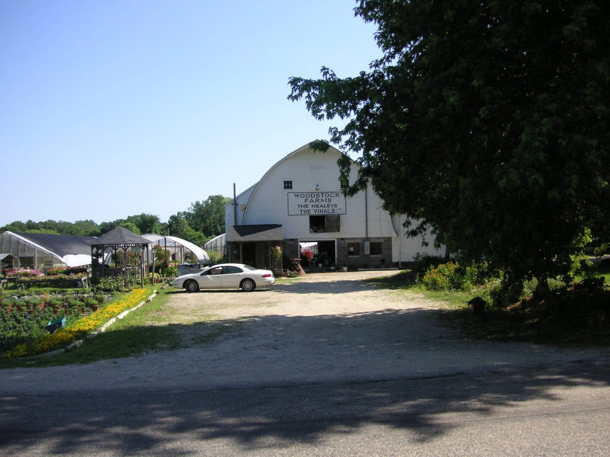 Woodstock Farms the Healeys (586 Senexet Road, Woodstock (Eastern