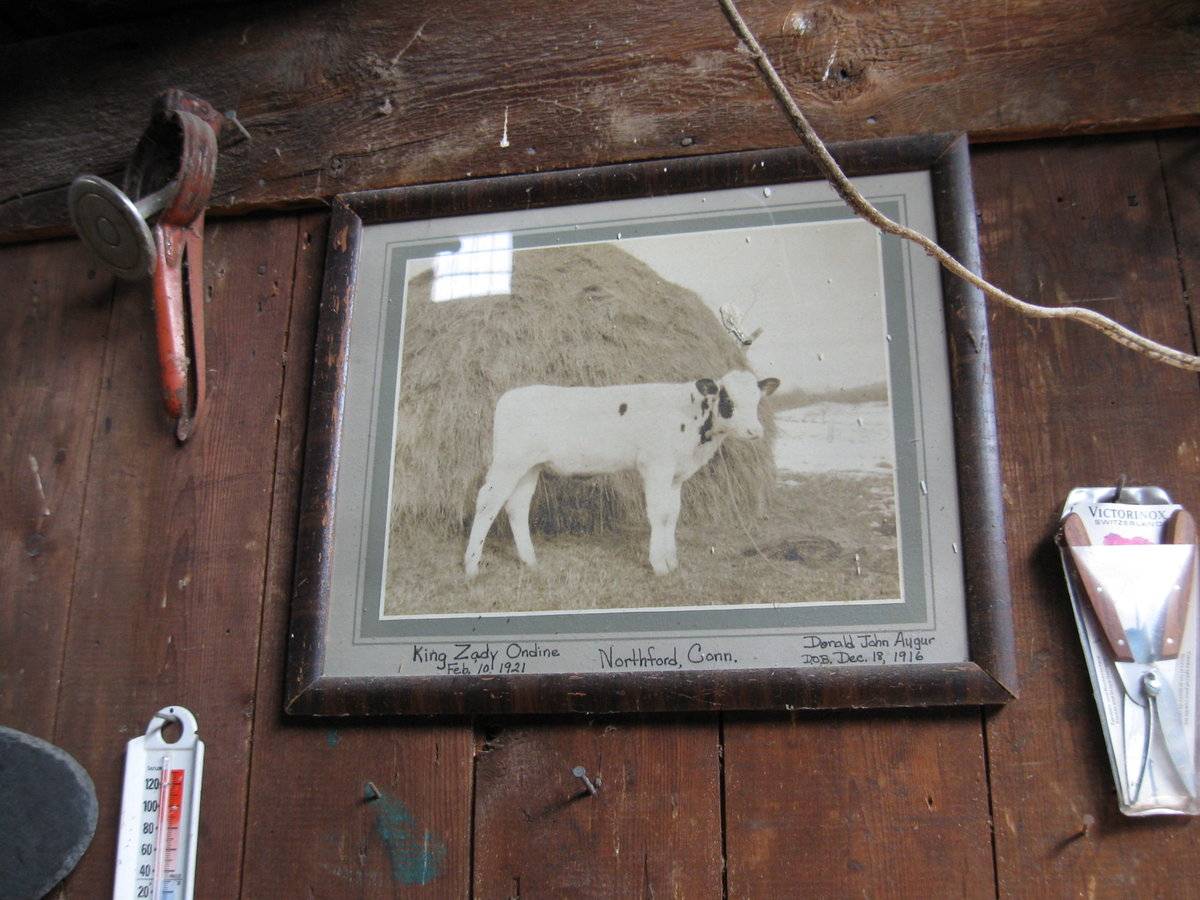 Old Gate Farm (590 Woodhouse Avenue, Wallingford (Central Valley