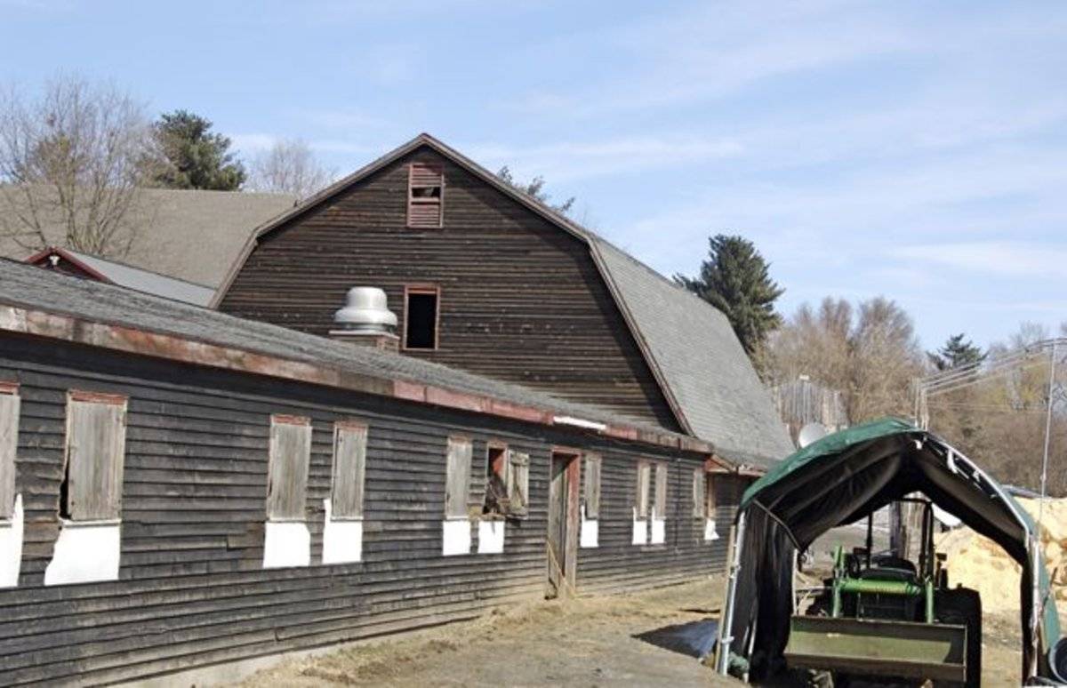 River Meadow Farm, Stewart Equine Clinic (Part 2 of 3) (236 Palisado