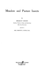 Meadow and pasture insects