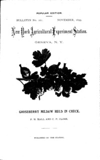 Number 161, Edition popular: Bulletin