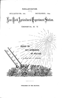 Number 162, Edition popular: Bulletin