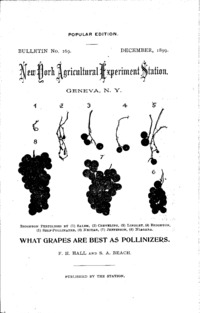 Number 169, Edition popular: Bulletin