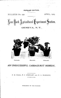 Number 232, Edition popular: Bulletin