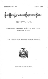 Number 302: Bulletin