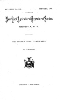 Number 312: Bulletin