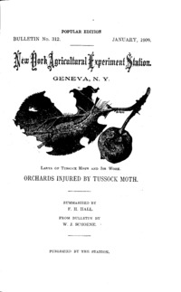 Number 312, Edition popular: Bulletin