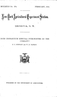 Number 374: Bulletin