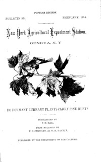 Number 374, Edition popular: Bulletin