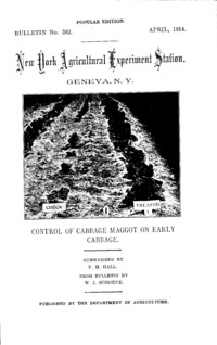 Number 382, Edition popular: Bulletin