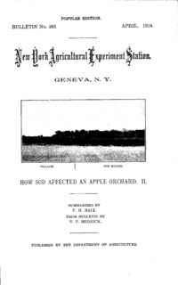 Number 383, Edition popular: Bulletin