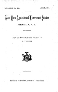 Number 385: Bulletin