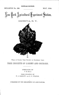 Number 388, Edition popular: Bulletin