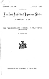 Number 448: Bulletin