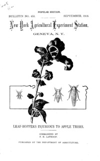 Number 451, Edition popular: Bulletin