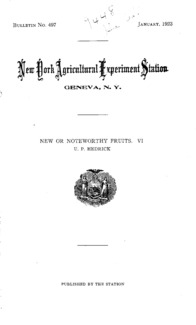 Number 497: Bulletin