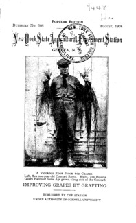 Number 508, Edition popular: Bulletin