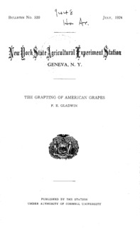 Number 520: Bulletin