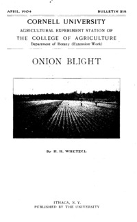 Number 218: Bulletin