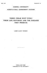 Number 390: Bulletin