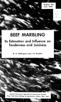 Number 941: Bulletin