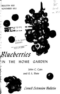 Number 900 - Blueberries in the Home Garden: Cornell extension bulletin