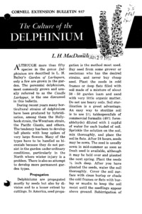 Number 937, Edition Revised - The Culture of the Delphinium: Cornell extension bulletin
