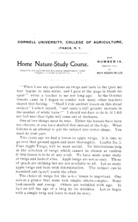 Number 19 - The Study of Apple Twigs and Buds: Home nature-study course