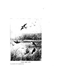 Volume 26, Number 4: Good housekeeping