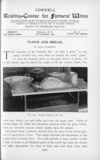 Series 4, Number 17 - Flour and Bread: Cornell reading-course for farmers' wives