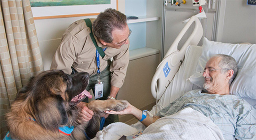 Pet Project Trained Therapy Animals Boost the Moods of