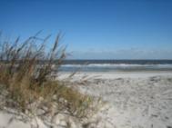 Brunswick & Golden Isles of GA