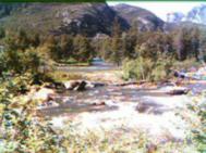 Cheryl's Blog Absarokee, MT