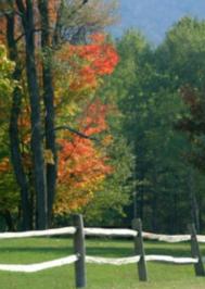 Charlottesville Real Estate Talk!