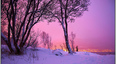 winter
