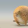fat cheetah