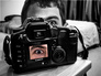 through the lens