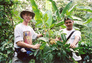 fair trade coffee