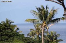 24-4 Ho'olei Circle