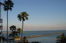 7245 FISHER ISLAND DR # 7245