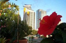 400 ALTON RD # 2807