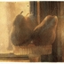 Pears_1