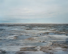 &nbsp;/&nbsp;CHUKCHI SEA, JUNE 2007